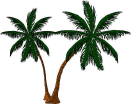 MusiControllers mascot: the palmtree 